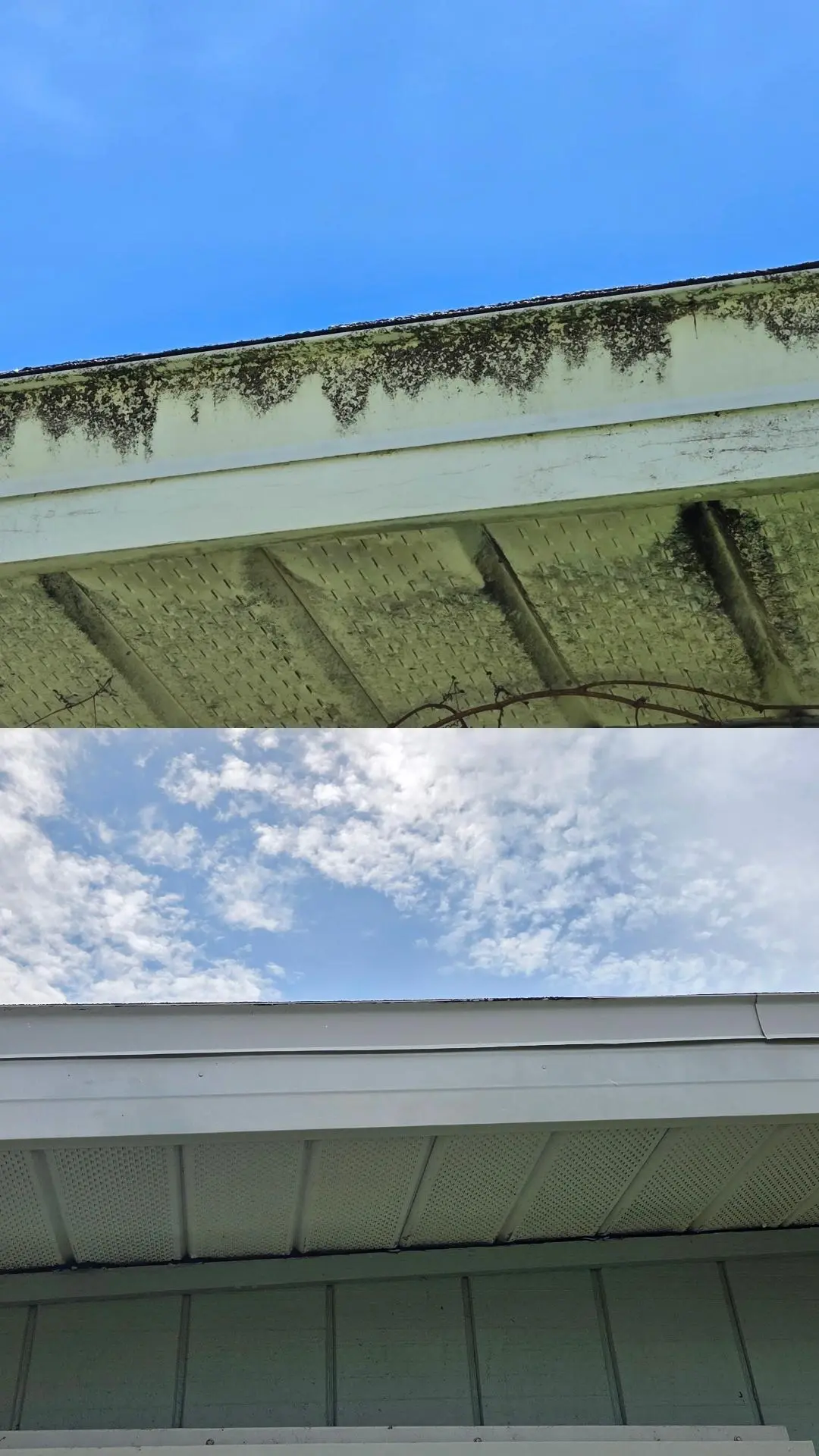 Before: gutter face and soffit streaked with black mildew