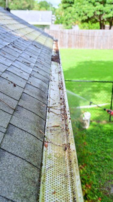 Gutter guard covered in leaves and debris before cleaning