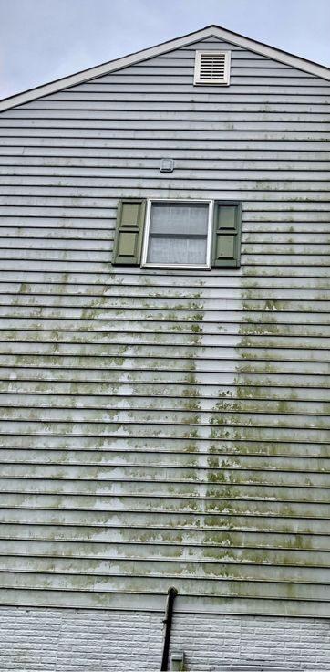 Before: two-story vinyl gable streaked with green algae