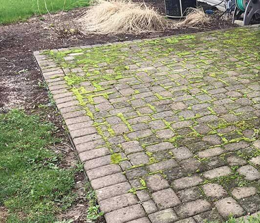 Before: pavers stained with dirt and algae