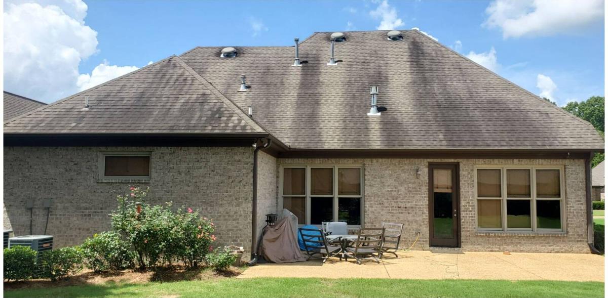 Before: shingle roof streaked black with algae