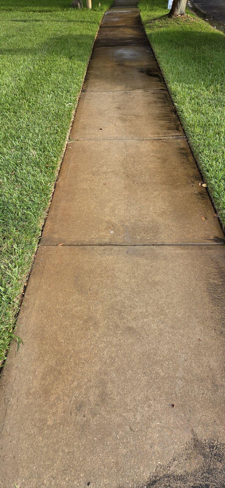 Before: concrete walkway darkened with dirt and mildew