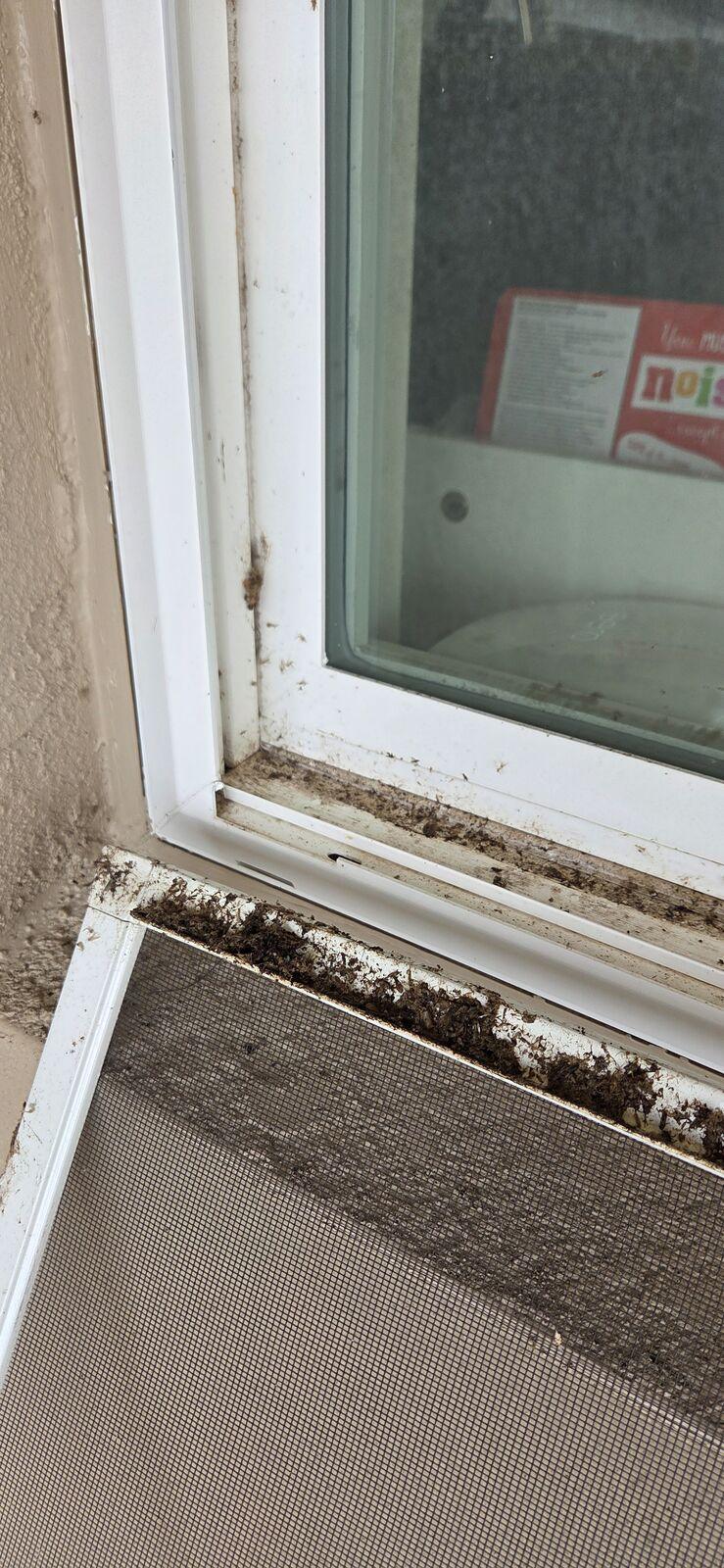 Window track packed with dirt and debris before cleaning